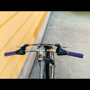 Hybrid Girls Youth Bike